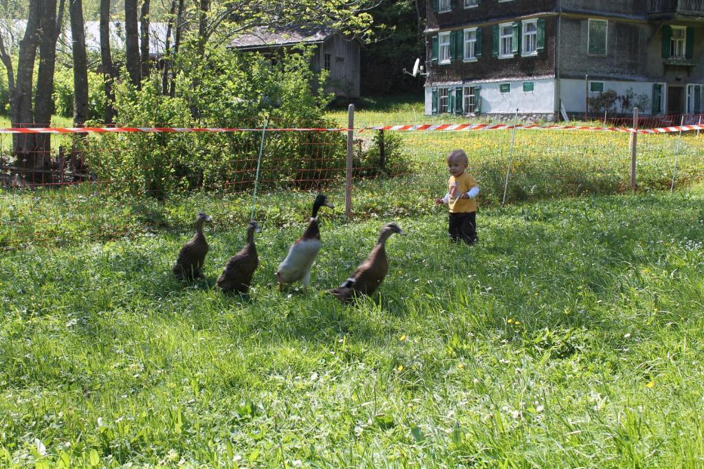 Ferienwohnungen Sutter Au (Vorarlberg) Esterno foto