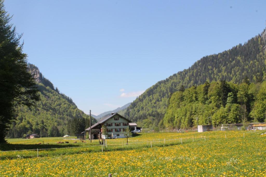 Ferienwohnungen Sutter Au (Vorarlberg) Esterno foto